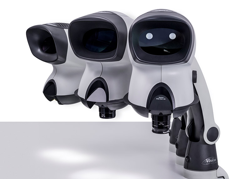 2.Expanded-pupil-Mantis-family-feature-image-768x572px